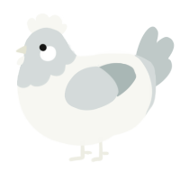 A white and silver chicken with a head pattern