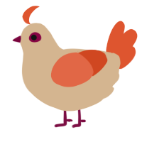 A beige and vermilion chicken
