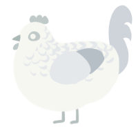 A white and mist chicken with a half-lace pattern