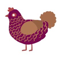 A wine and brown chicken with a lace pattern