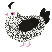 Memento, a white and sable chicken with a double-lace pattern