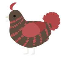 A bark and red chicken with a bar pattern