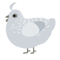 A mist chicken with a half-lace pattern