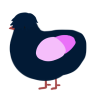 A tumblr and lavender chicken