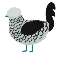 Karen, a silver and sable chicken with a head pattern