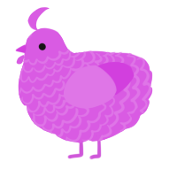 A orchid chicken with a lace pattern