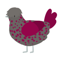 A grey and maroon chicken with a speckle pattern