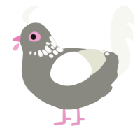 (unnamed), a ash and white chicken with a neck-speckle pattern