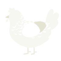 A white chicken with a half-lace pattern