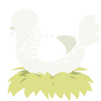 A white chicken with a half-lace pattern