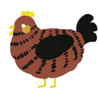 A russet and black chicken with a bar pattern