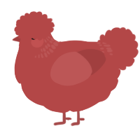 A red chicken with a neck-band pattern