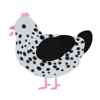 Catrel, a mist and black chicken with a speckle pattern