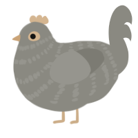 (unnamed), a ash chicken with a bar pattern