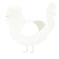 A white chicken with a lace pattern