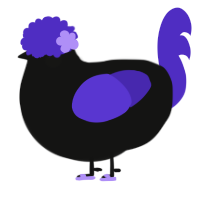 A black and indigo chicken