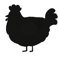 A black chicken with a lace pattern