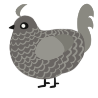 A grey and ash chicken with a lace pattern