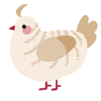 A cream and beige chicken with a half-bar pattern