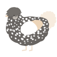 A grey and cream chicken with a speckle pattern