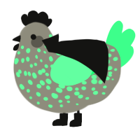 A ash and spring chicken with a speckle pattern