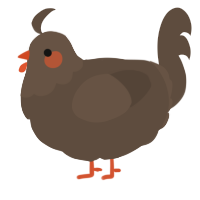 A bark chicken with a head pattern