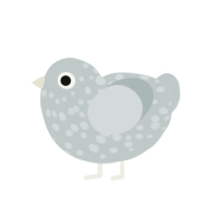 Ghoul, a silver chicken with a speckle pattern