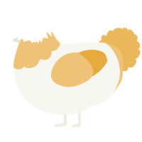 A white and honey chicken with a head pattern