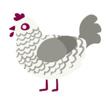 A white and ash chicken with a lace pattern