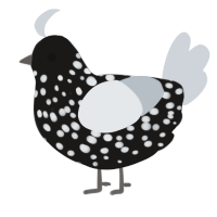 A sable and mist chicken with a speckle pattern