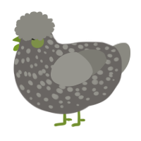 A grey and ash chicken with a speckle pattern