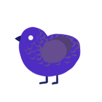 Nightshade, a indigo and overcast chicken with a half-lace pattern