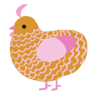 A orange and pink chicken with a lace pattern
