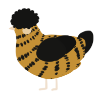 A gold and black chicken with a bar pattern