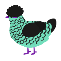 A mint and sable chicken with a lace pattern
