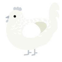 A white chicken with a half-lace pattern
