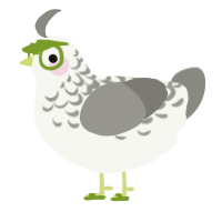A white and ash chicken with a half-lace pattern
