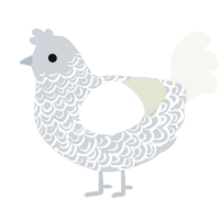 A mist and white chicken with a double-lace pattern