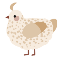 A cream and beige chicken with a speckle pattern
