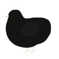 A black and sable chicken