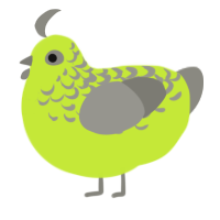A lime and ash chicken with a half-lace pattern