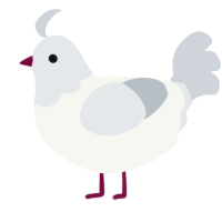 A white and mist chicken with a head pattern