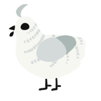 A white and silver chicken with a half-bar pattern