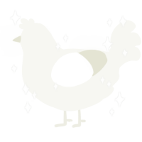 A white chicken