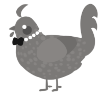 A grey chicken with a speckle pattern