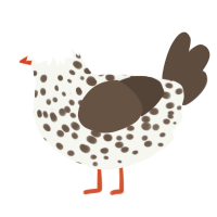 PCR machine, a white and bark chicken with a speckle pattern