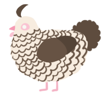A cream and bark chicken with a lace pattern