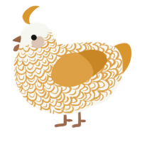 A white and orange chicken with a double-lace pattern