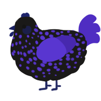 A sable and indigo chicken with a speckle pattern