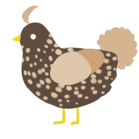 A bark and beige chicken with a speckle pattern